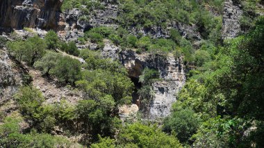 Arnavutluk 'un güneşli dağları. Yazın ortasında Avrupa doğası.                     