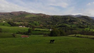 Navarra 'daki yaz manzarasının insansız hava aracı görüntüsü. Hava aracı yaz dağları, tepeler ve çayırlar boyunca ağaçların, güneşin altında ormanların, dağların üzerinde mavi gökyüzünün görüntüsü..