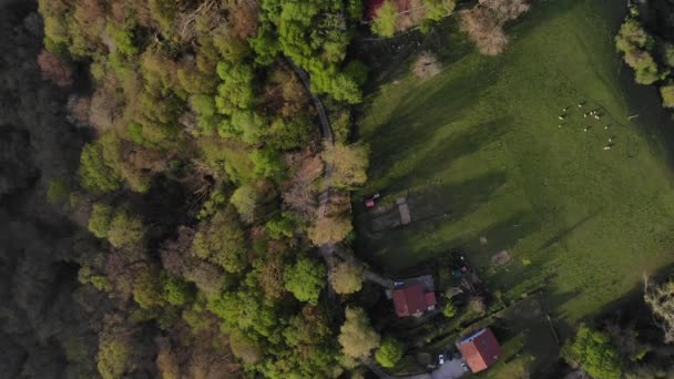 Drone Survolant Plusieurs Maisons Rurales Isolées Pied Une Vallée Verdoyante — Video