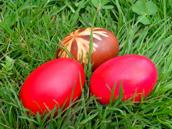 Easter Dekoration with colorful egs in grass — Stock Photo, Image