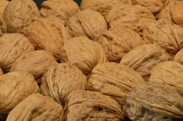 Walnuts — Stock Photo, Image