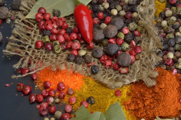 Colors spices composition. — Stock Photo, Image