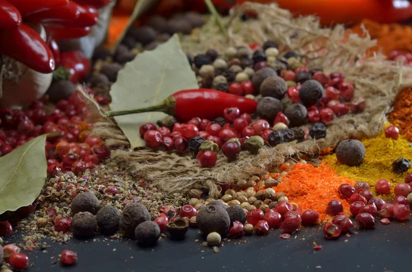 Colors spices composition. — Stock Photo, Image