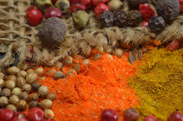 Colors spices — Stock Photo, Image