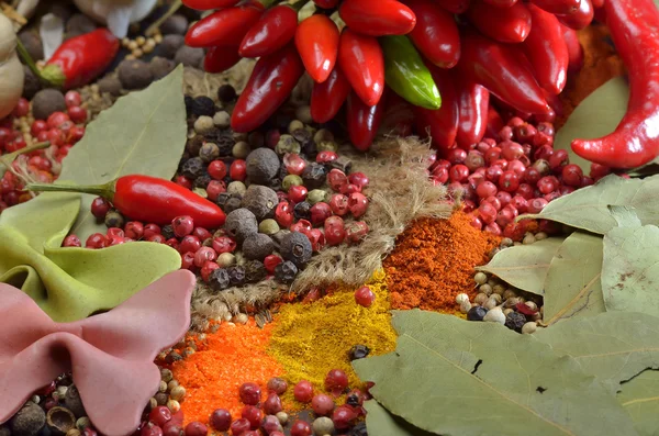 Red hot chili peppers and colors spices composition — Stock Photo, Image