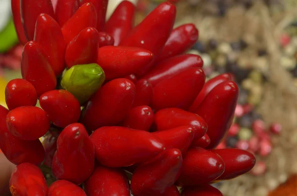 Rød Hot chili peberfrugter - Stock-foto