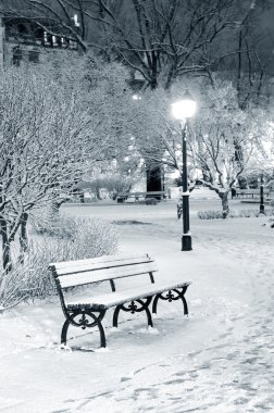 riga park ağaçlarda gece kar