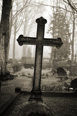 Mezarlık sis çapraz