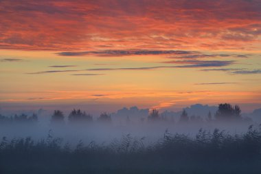 sabah sis alanıyla renkli güneş doğarken