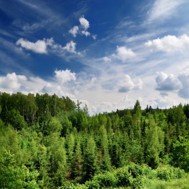 ormanla kaplı tepeler