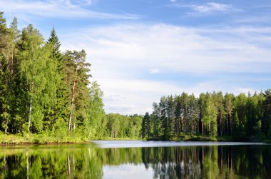 Lake Forest yansıması ile