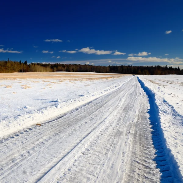 농촌 지역에서도로 클래식 겨울 장면 — 스톡 사진