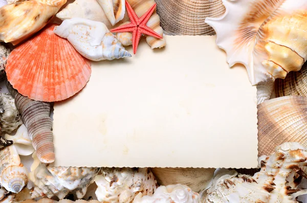 Briefkaart in zee schelpen frame — Stockfoto
