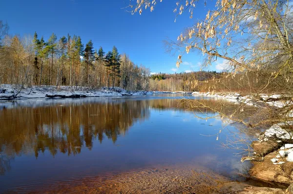 Krajobraz zima doliny rzeki Gauja. Sigulda, Łotwa — Zdjęcie stockowe