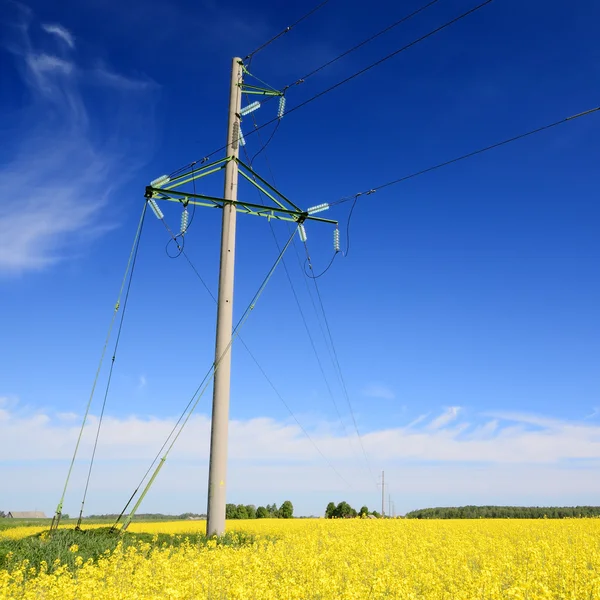 Žlutá řepkového pole a elektrického vedení v Lotyšsku — Stock fotografie