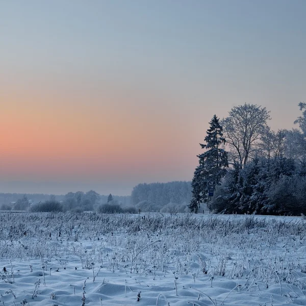 Vista al campo de invierno —  Fotos de Stock