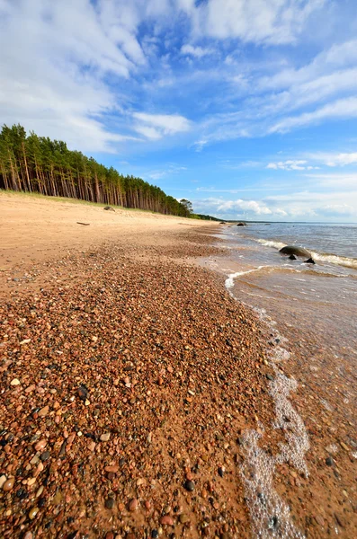 Östersjöns strand i Lettland — Stockfoto