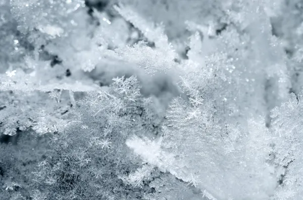 Cristales de nieve de cerca — Foto de Stock