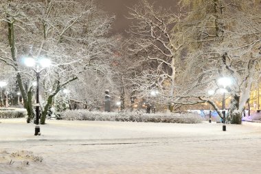 riga park ağaçlarda gece kar