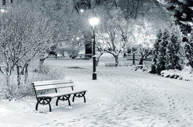 riga park ağaçlarda gece kar