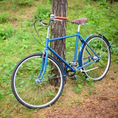 ormandaki eski vintage mavi Bisiklet