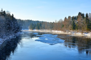 gauja Nehri vadisinde kış manzarası. Sigulda, Letonya