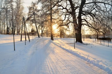 Kış countyside görünümü