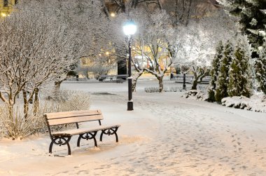 riga park ağaçlarda gece kar