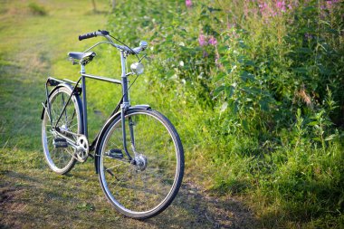 basalt kolommen kirkjugolf