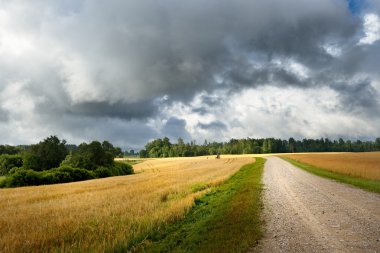 yol ve tahıl alan karanlık fırtınalı bulutlar karşı