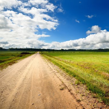 yeşil alan ve yol fırtınalı gökyüzü