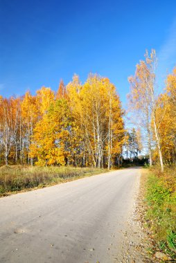 Sonbahar sezonunda kır yolu. Letonya
