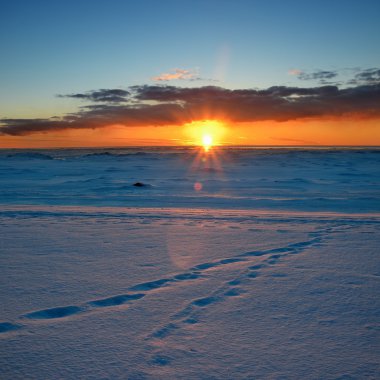 karlı Baltık Denizi sahilinde renkli günbatımı