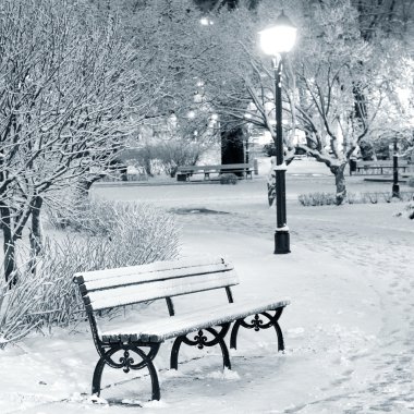 riga park ağaçlarda gece kar