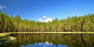 Lake Forest yansıması ile