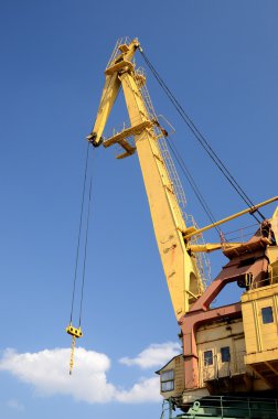 riga Tersanesi, kargo vinç