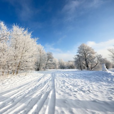 yol ve hoar-frost ağaçları kış