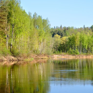 bahar sabahı sigulda, lativa, gauja Nehri