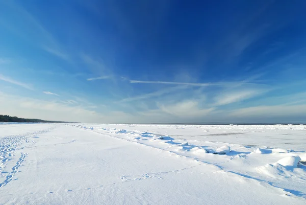 Ghiaccio deserto paesaggio invernale — Foto Stock