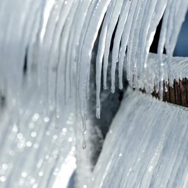 Group of icicles on the pier in winter — Stock Photo, Image