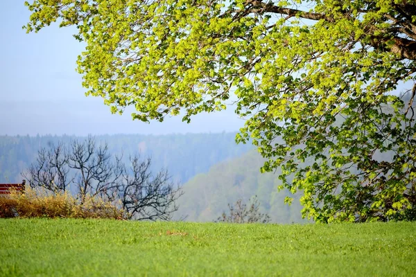 View on Gauja valley in spring in Sigulda, Latvia — Stock Photo, Image