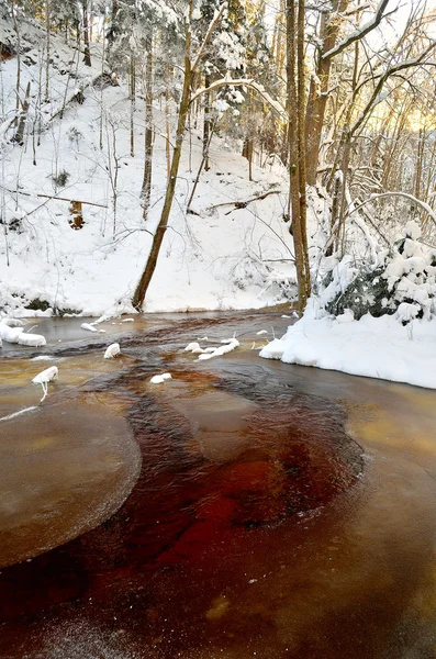 Winter river valley manzara — Stok fotoğraf