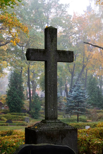 Kreuz im Nebel auf dem Friedhof — Stockfoto