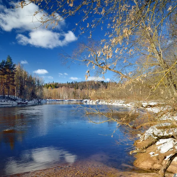 Gauja folyó völgyében téli táj. Sigulda, Lettország — Stock Fotó