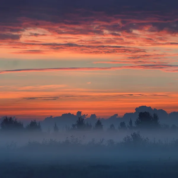 Färgglada sunrise på fältet med dimma på morgonen — Stockfoto