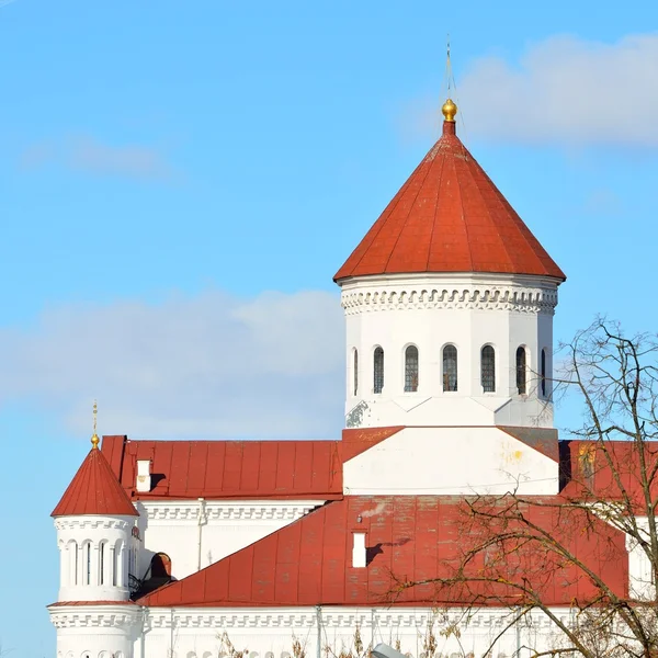 Orthodoxe theotokos-Kathedrale in Vilnius — Stockfoto