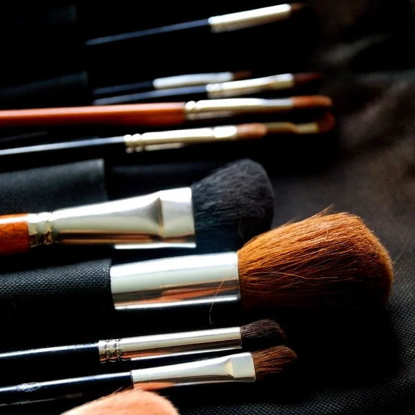 Make-up brushes in dark case — Stock Photo, Image