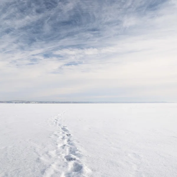 Льодова пустеля зимовий пейзаж — стокове фото