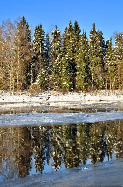 Gauja Flusstal Winterlandschaft. sigulda, Lettland — Stockfoto