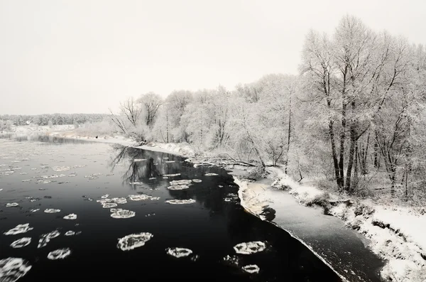 Rio de inverno e geada em árvores — Fotografia de Stock
